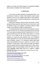 Diplomdarbs 'Autora tiesības interneta vidē', 20.