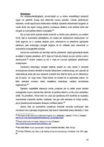 Diplomdarbs 'Autora tiesības interneta vidē', 64.