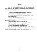 Prakses atskaite 'Ābeļu pagasta padome', 4.