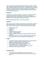 Referāts 'Cistīts', 2.