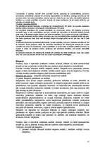 Konspekts 'Kriminālprocess', 17.