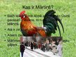 Prezentācija 'Mārtiņdiena', 2.