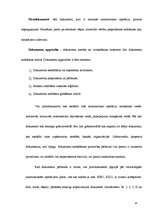 Prakses atskaite 'Grāmatvedība', 13.