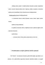 Prakses atskaite 'Grāmatvedība', 19.