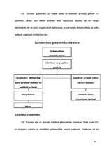 Prakses atskaite 'Grāmatvedība', 24.