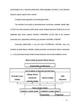 Prakses atskaite 'Grāmatvedība', 25.