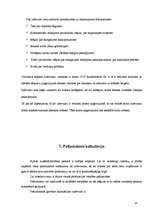 Prakses atskaite 'Grāmatvedība', 33.