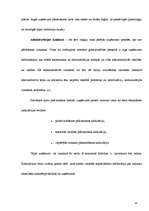 Prakses atskaite 'Grāmatvedība', 38.