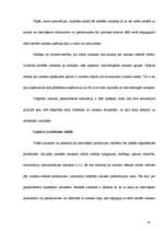 Prakses atskaite 'Grāmatvedība', 41.