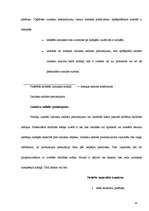 Prakses atskaite 'Grāmatvedība', 42.