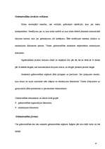 Prakses atskaite 'Grāmatvedība', 95.