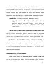 Prakses atskaite 'Grāmatvedība', 104.