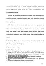 Prakses atskaite 'Grāmatvedība', 106.