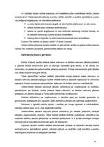 Prakses atskaite 'Grāmatvedība', 125.