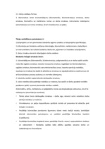 Referāts 'Tāme vienstāva ģimenes mājai', 5.