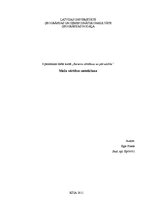 Paraugs 'Meža vērtības noteikšana', 1.