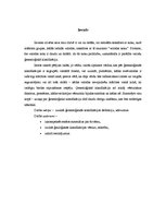 Referāts 'Valodu ģenealoģiskā klasifikācija', 3.