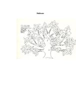 Referāts 'Valodu ģenealoģiskā klasifikācija', 8.