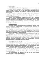 Referāts 'AS "Cēsu alus" mārketinga vides un stratēģijas analīze un darbības plānošana', 14.