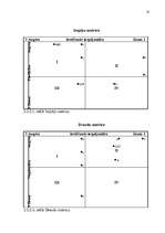 Referāts 'AS "Cēsu alus" mārketinga vides un stratēģijas analīze un darbības plānošana', 18.