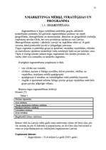 Referāts 'AS "Cēsu alus" mārketinga vides un stratēģijas analīze un darbības plānošana', 31.