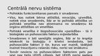 Prezentācija 'Uzmanības deficīta un hiperaktivitātes sindroms', 4.