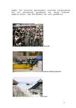 Referāts 'Jamaika', 7.