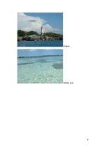 Referāts 'Jamaika', 8.