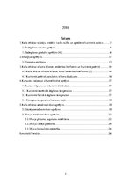 Konspekts 'Kurināmā tehnoloģija un katlu iekārtas', 2.