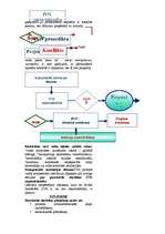 Konspekts 'Vide', 28.