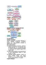 Konspekts 'Vide', 31.