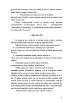 Referāts 'Eiropas Savienības strukturālie fondi', 10.