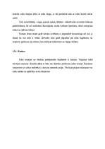 Referāts 'Higiēna', 9.