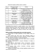 Paraugs 'Civilās aizsardzības plāns slimnīcā', 17.