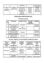 Paraugs 'Civilās aizsardzības plāns slimnīcā', 30.