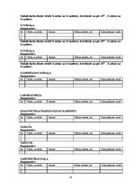 Paraugs 'Civilās aizsardzības plāns slimnīcā', 38.