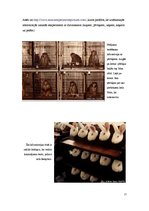 Referāts 'Dzīvnieku ētiskais statuss un eksperimenti ar dzīvniekiem', 17.