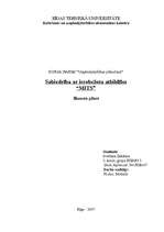 Biznesa plāns 'SIA "MITS"', 1.