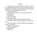 Biznesa plāns 'SIA "MITS"', 3.