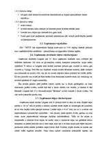 Biznesa plāns 'SIA "MITS"', 7.