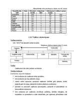 Biznesa plāns 'SIA "MITS"', 10.