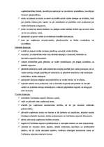 Biznesa plāns 'SIA "MITS"', 11.