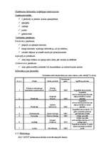 Biznesa plāns 'SIA "MITS"', 13.