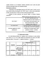 Biznesa plāns 'SIA "MITS"', 20.