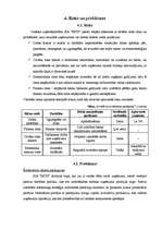 Biznesa plāns 'SIA "MITS"', 24.