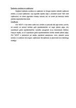 Biznesa plāns 'SIA "MITS"', 25.