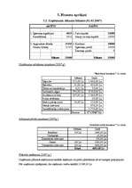 Biznesa plāns 'SIA "MITS"', 26.