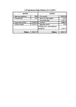 Biznesa plāns 'SIA "MITS"', 29.