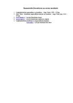 Biznesa plāns 'SIA "MITS"', 32.