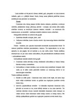 Konspekts 'Dinamikas rindas', 2.